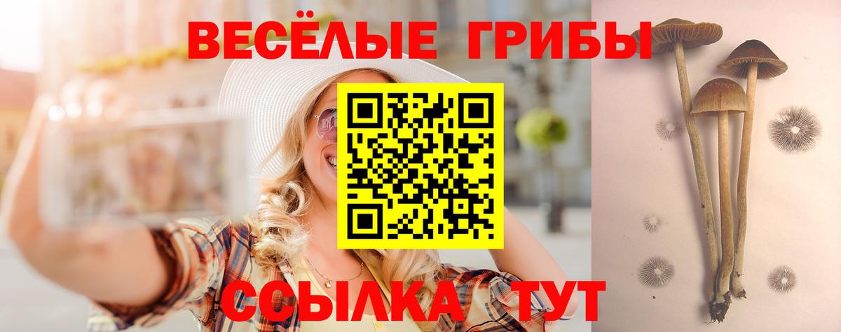 Псилоцибиновые грибы MAGIC MUSHROOMS  Вход с VPN  Галлюциногенные грибы GOLDEN TEACHER  Тобольск 