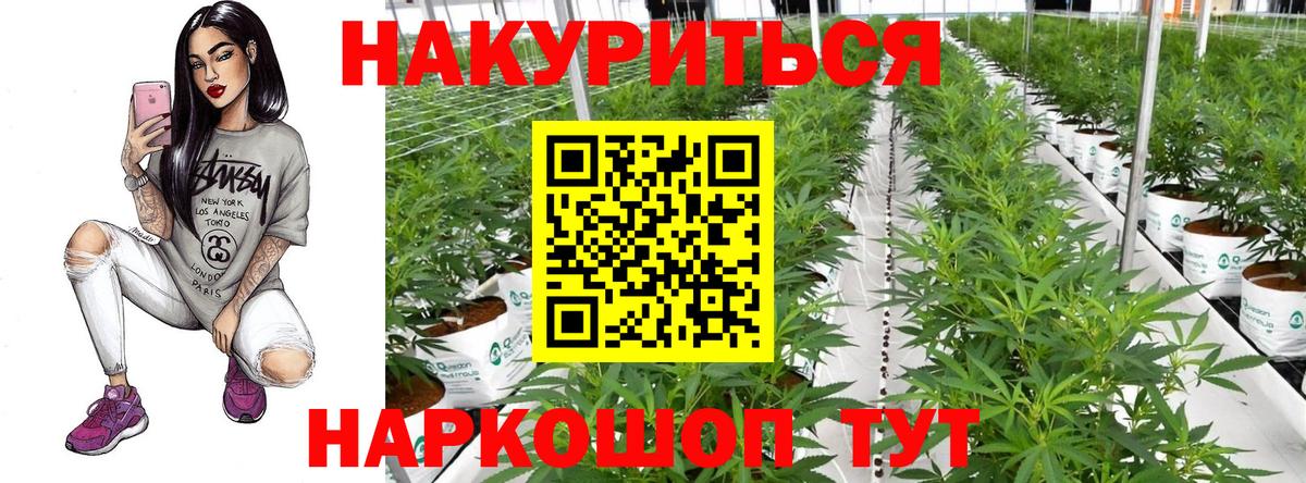 Конопля White Widow Тобольск